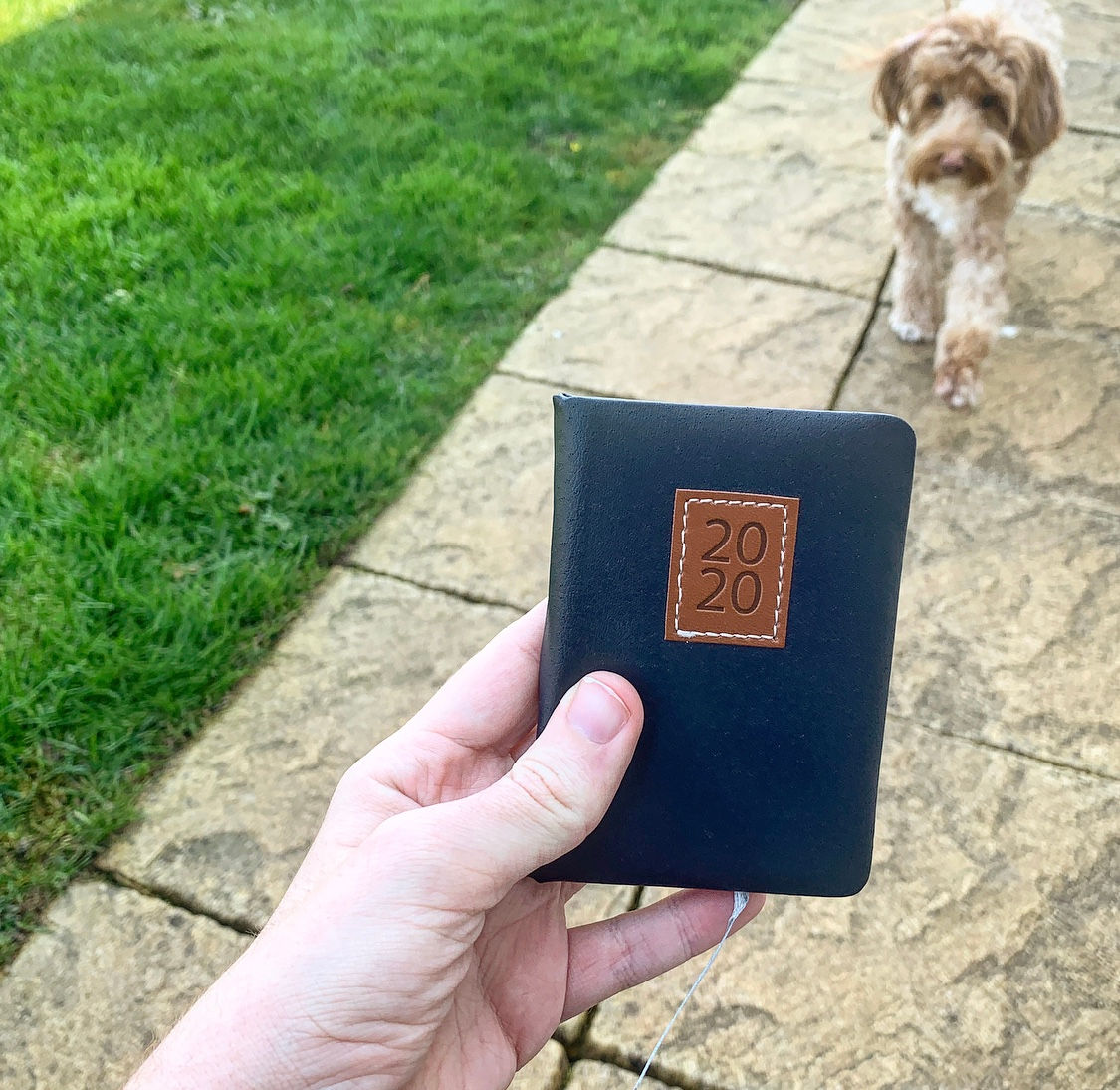 The Isolation Diaries (week 1)