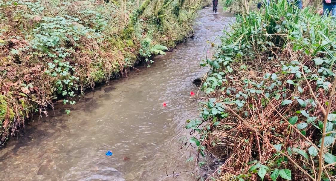 Shot of the lake, showing rubber ducks floating down